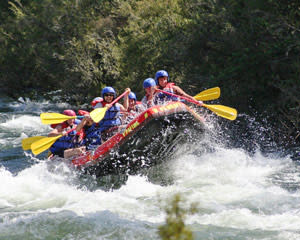 White Water Rafting, 1 Day Mitta Mitta River - Omeo