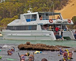 moreton island cruise from redcliffe