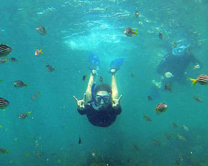 Snorkel Tour and Nature Walk - Manly, Sydney