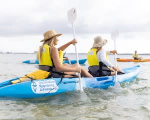 Sea Kayaking And Dolphin Morning Tour - Gold Coast