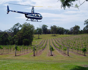 Private Helicopter Flight to Sirromet Winery via Mt Cootha - Brisbane - For 3