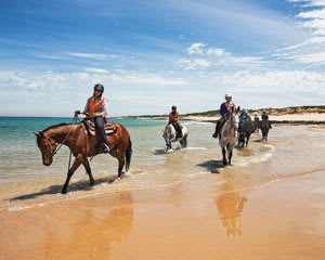 Horse Riding Experiences At Adrenaline From Beach To Bush