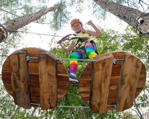 monkey swing tour im tree top adventure park