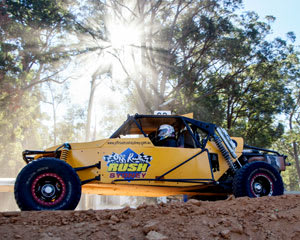 v8 off road buggy for sale