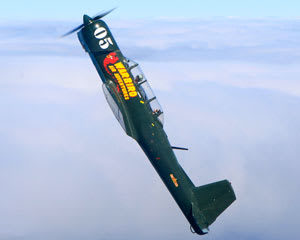 Aerobatic Warbird Flight, 15 minutes - Moorabbin, Melbourne