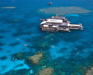 Great Barrier Reef Quicksilver Full Day Cruise Tour - Port Douglas