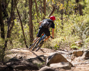 Blue Mountains MTB Bike Hire Experience - The Oaks Fire Trail and Single Track Package