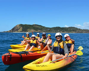 Dolphin Kayak Tour, 2.5 Hours - Byron Bay