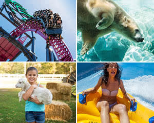 14 Day Mega Pass: Warner Bros. Movie World, Sea World, Wet’n’Wild Gold Coast and Paradise Country