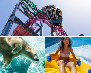 7 Day Super Pass - 4 Theme Parks, Gold Coast