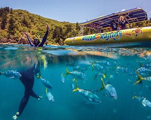 Whitsundays Full Day Snorkelling & Jet Rafting Tour - Airlie Beach