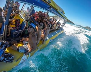 Whitsundays Full Day Jet Rafting & Whitehaven Beach Tour - Airlie Beach