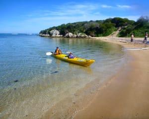 Sea Kayak to Seal and Penguin Islands with Lunch - Rockingham