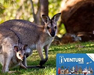 Australia Five Attractions Pass