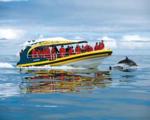 Tasman Island Day Trip Cruise with Tasmanian Devil Park - Departs Hobart