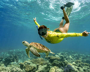 Great Barrier Reef Snorkelling Safari, Morning - Cape Tribulation