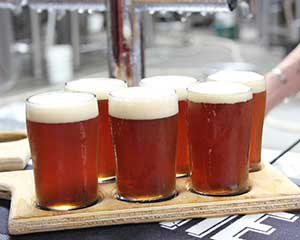 Micro Brewery Tour with Beer Tasting, Sydney - Half Day