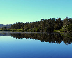 Noosa Everglades Serenity Cruise, 2.75 Hours