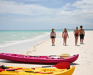 Fraser Island (K'gari) Experience with Lunch and Transfers - Hervey Bay