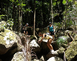 Byron Bay Hinterland Tour with BBQ Lunch - 5.5 Hours