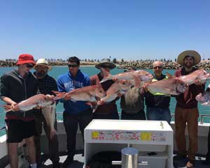 Private Half Day Fishing Charter, For up to 6 - Adelaide