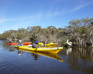 Double Kayak Hire, For 2 - Perth