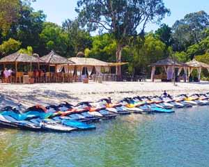 Jet Ski Safari with Island Stop, 90 Minutes - Gold Coast