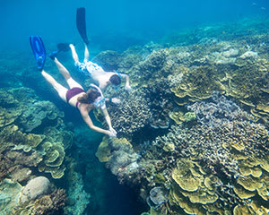 Great Barrier Reef Cruise & Guided Snorkel Tour, Full Day - Cairns