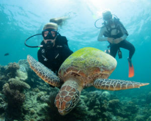 Great Barrier Reef Cruise with Scuba Diving - Cairns