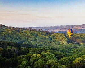 Sunrise Hot Air Balloon Flight & Breakfast at The Farm, Weekend Flexi - Byron Bay