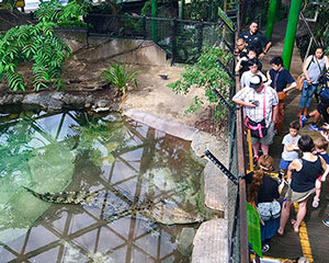 Wildlife Habitat Entry - Port Douglas