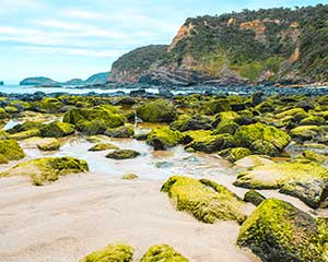 Mornington Peninsula Hike and Hot Springs Tour - Departs Melbourne