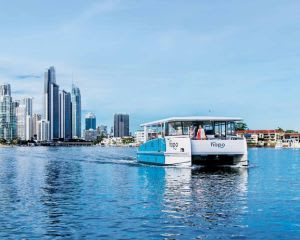 Gold Coast Hop On Hop Off All Day Ferry Pass