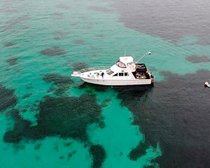 Snorkelling Tour, 4 Hours – Carnac Island, Fremantle