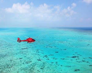 Great Barrier Reef Helicopter Flight, 30 Minutes - Port Douglas