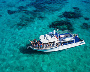 Whale Shark Swim on Powerboat with Lunch and Photos