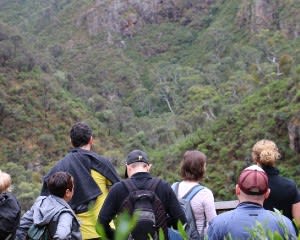 Morialta Wilderness and Wildlife Hike Tour, 3.5 Hours - Adelaide