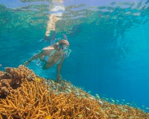 Great Barrier Reef Catamaran Sailing & Snorkel Tour, Full Day - Cairns