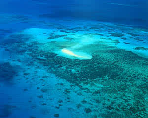 Scenic Flight Over Great Barrier Reef, 40 Minutes - Departs Cairns