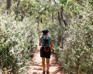 Kitty's Gorge Darling Ranges Hike, 5 Hours - Perth