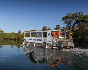 Bush Tucker and Crab Catching Adventure Cruise - Tweed River, NSW