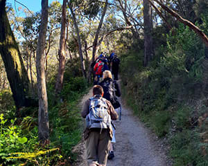 Bushwalking and Waterfall Hike, 4.5 Hours - Mount Lofty Summit