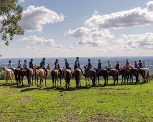Jarrahdale Horse Trail Ride - 60 Minutes - Weekday - For 2