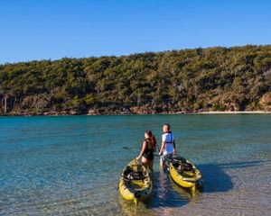 Pambula River Kayak Tour, 3 Hours - South Coast- For 2