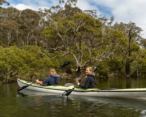 Bermagui River Kayak Tour, 3 Hours - South Coast - For 2