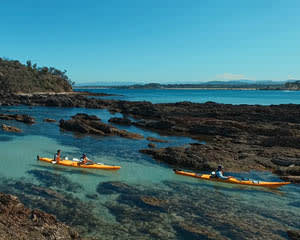 Kayaking & Overnight Camping Experience - Eurobodalla