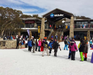 Full Day Mount Buller Snow Trip from Melbourne with Entry