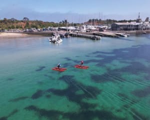 Mornington Waterbike Tour - 90 Minutes