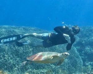 2 Day Learn to Freedive Course - Airlie Beach, Whitsundays