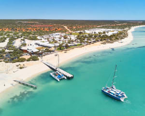 Scenic Flight to Shark Bay and Monkey Mia, Full Day – Perth